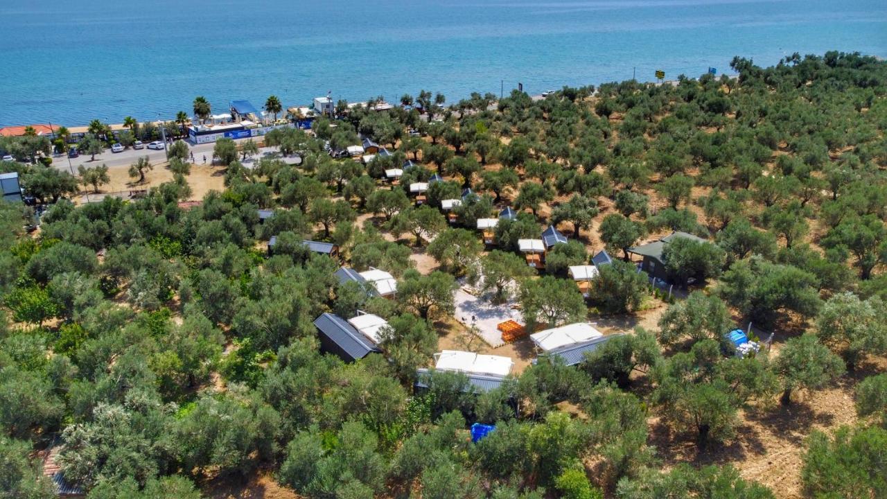 Gulet Tiny House Hotel Ayvacik Esterno foto