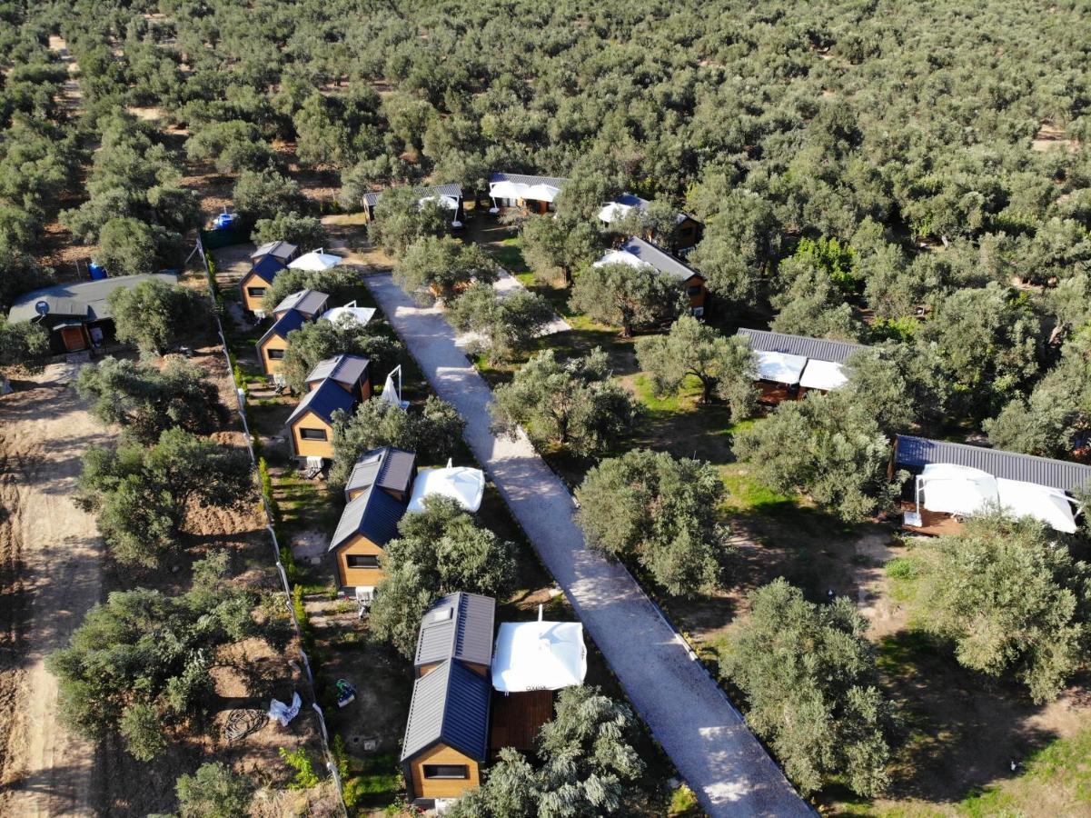 Gulet Tiny House Hotel Ayvacik Esterno foto